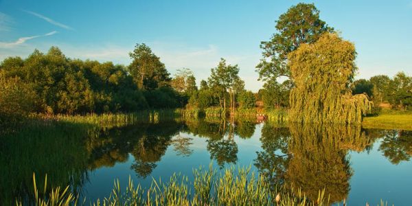 Naturpark Lauenburgische Seen Schleswig-Holstein Natur Landschaft Freizeit Naturliebhaber Schutzgebiete Naturparke Naturschutz Erholung Schutz Entwicklung Löschteich Lehmrade