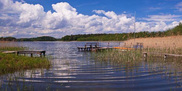 Naturpark Lauenburgische Seen Schleswig-Holstein Natur Landschaft Freizeit Naturliebhaber Schutzgebiete Naturparke Naturschutz Erholung Wald Wasser Schaalsee Groß Zecher