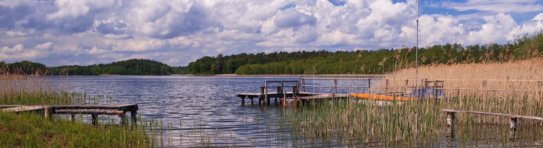 Naturpark Lauenburgische Seen Schleswig-Holstein Natur Landschaft Freizeit Naturliebhaber Schutzgebiete Naturparke Naturschutz Erholung Wald Wasser Schaalsee Groß Zecher