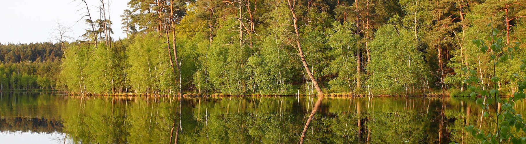 Naturpark Lauenburgische Seen Schleswig-Holstein Natur Landschaft Freizeit Naturliebhaber Schutzgebiete Naturparke Naturschutz Erholung Schwarzsee