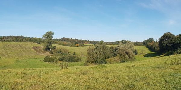 Naturpark Lauenburgische Seen Schleswig-Holstein Natur Landschaft Freizeit Naturliebhaber Schutzgebiete Naturparke Naturschutz Erholung Entstehung Eiszeit Salem Schwarze Kuhle