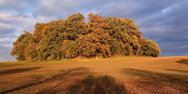 Naturpark Lauenburgische Seen Schleswig-Holstein Natur Landschaft Freizeit Naturliebhaber Schutzgebiete Naturparke Naturschutz Erholung Kulturlandschaft Entstehung Eiszeit Tingstätte Oldenburger Wall