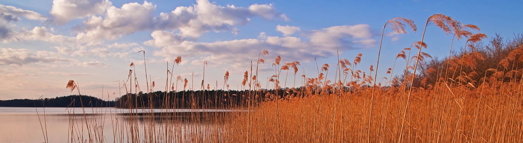 Naturpark Lauenburgische Seen Schleswig-Holstein Wir für Sie Kontakt Team Kreis Herzogtum Lauenburg Fredeburg Großer Zecher Schaalsee