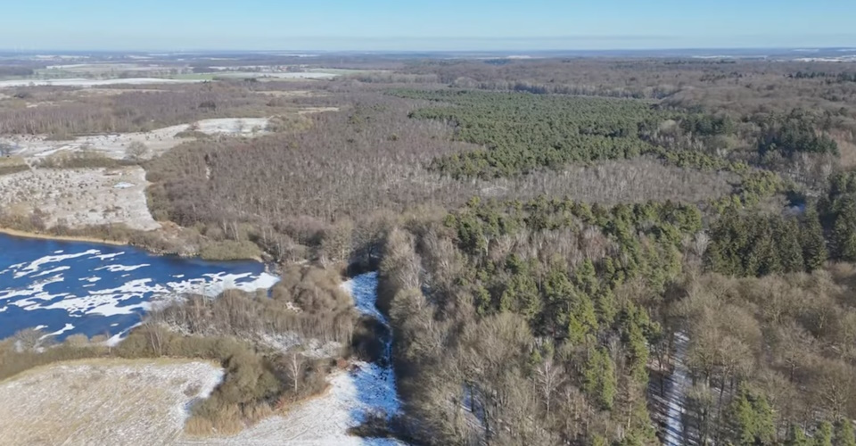 Adlerperspektive Salemer Moor